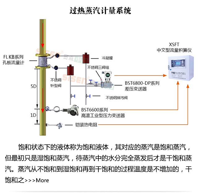 過(guò)熱蒸汽計(jì)量系統(tǒng)