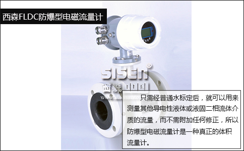 西森FLDC電磁流量計(jì)